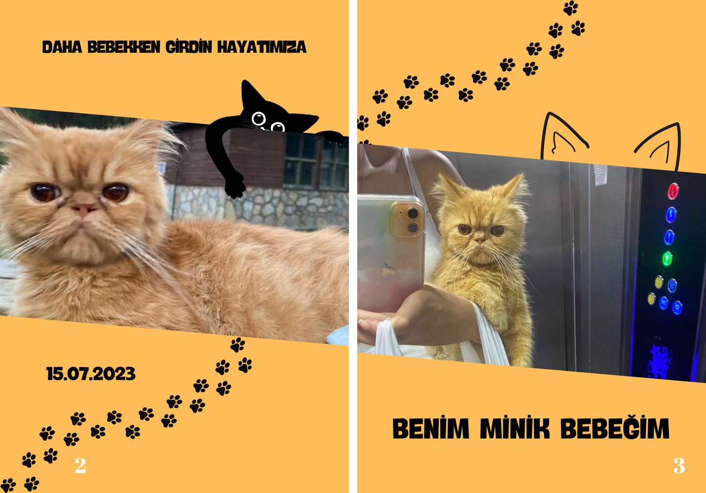 MİNİK PATİLER DERGİSİ