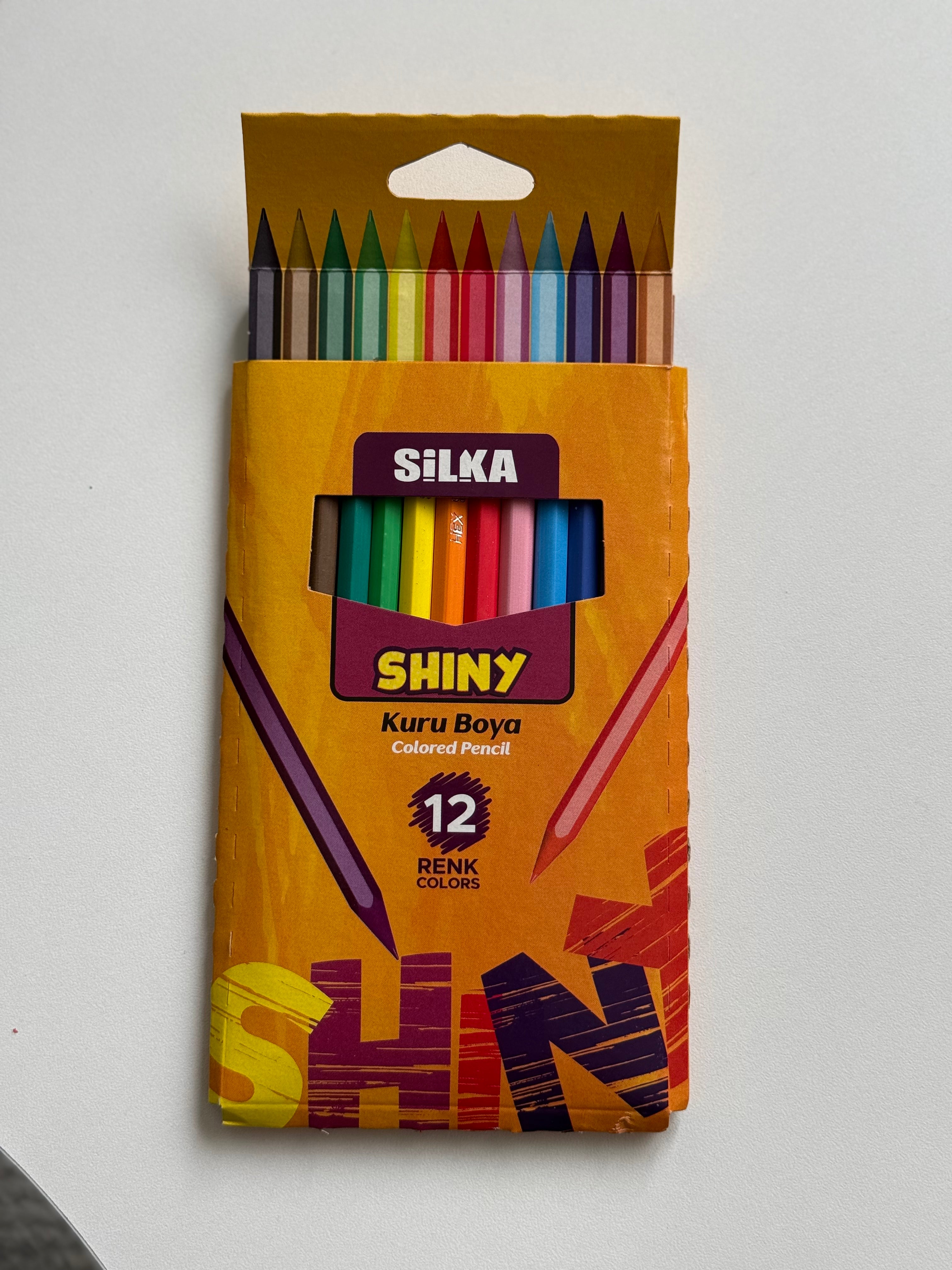 KURU BOYA KALEMİ 12'Lİ