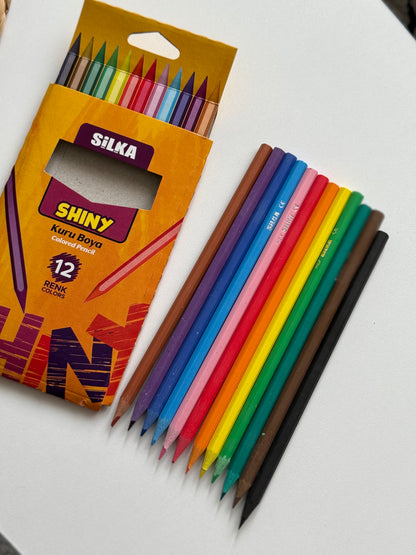 KURU BOYA KALEMİ 12'Lİ