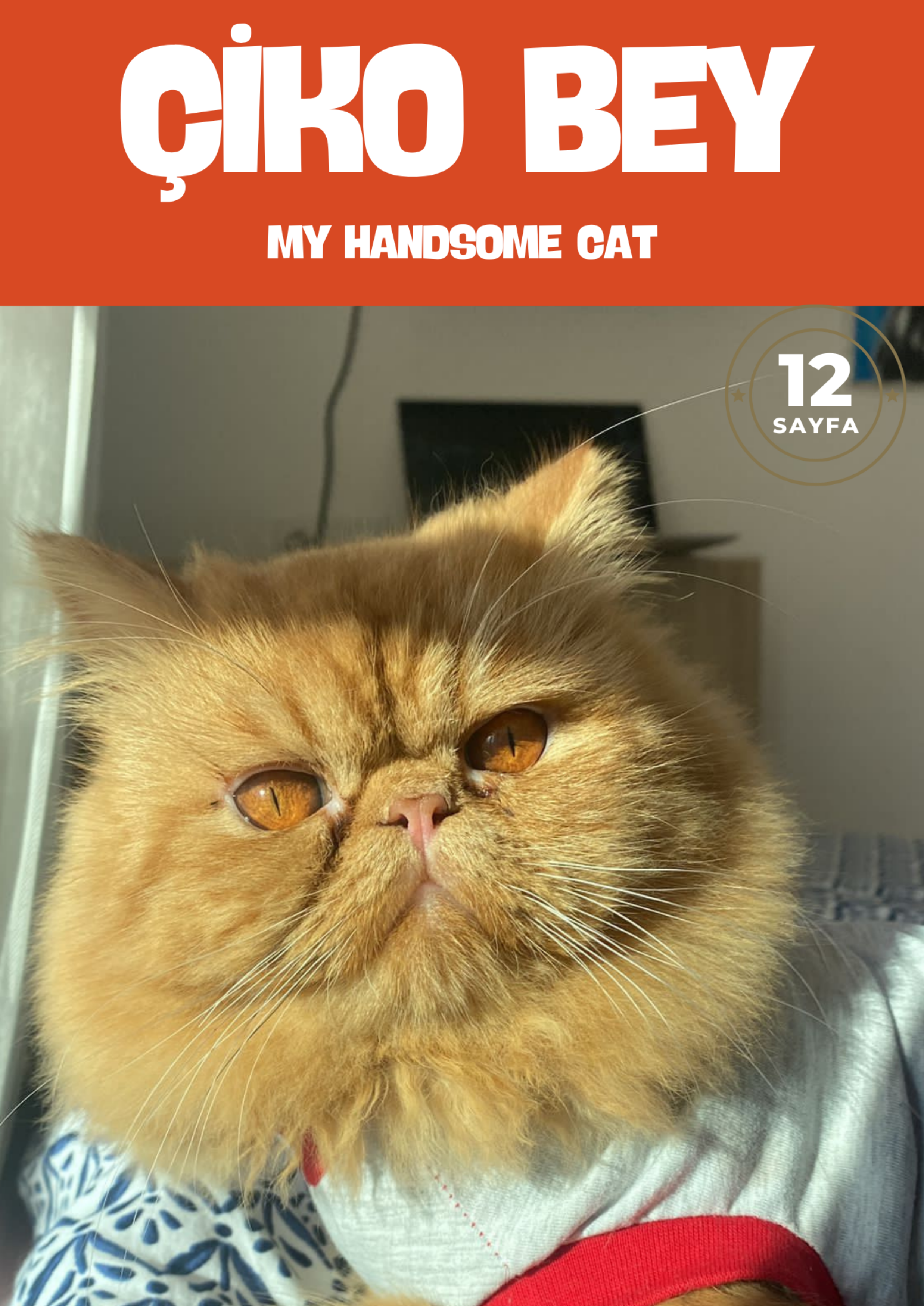 MİNİK PATİLER DERGİSİ